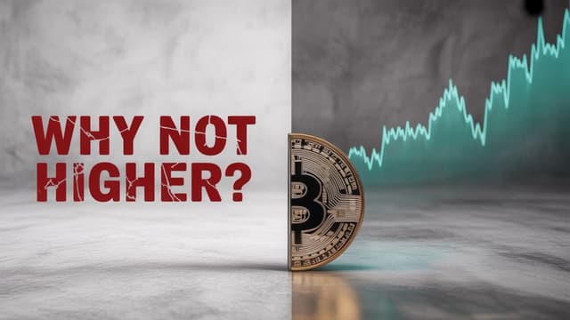 Why isn’t bitcoin’s price higher? One day YOU will be the reason bitcoin’s price isn’t higher.
