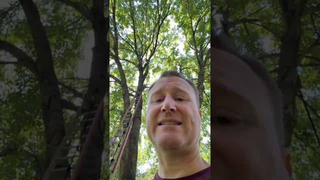 How Bitcoin Helped Me Save This Tree