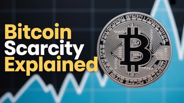 Refuting a critic about scarcity